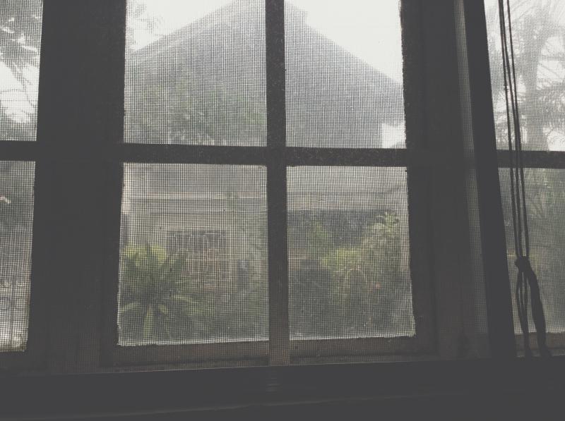 The Weekend After the Storm