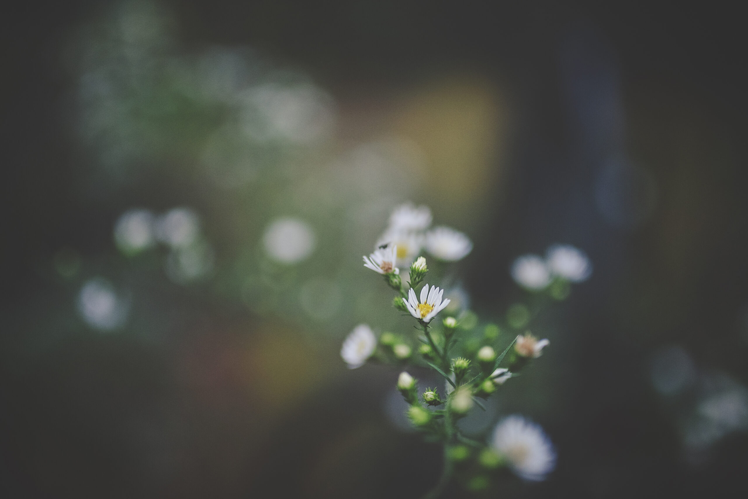 Hope for the Helpless