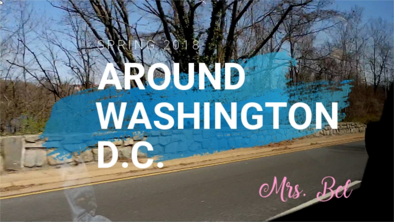 VLOG #2: Walking Around Washington D.C.